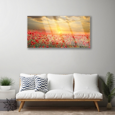 Quadro su vetro Fiori di papavero Sun Meadow