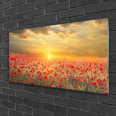 Quadro su vetro Fiori di papavero Sun Meadow