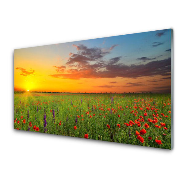 Quadro vetro Sole Prato Fiori Natura