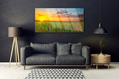 Quadro vetro Sole Prato Fiori Natura