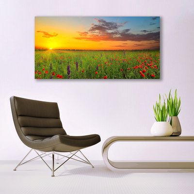 Quadro vetro Sole Prato Fiori Natura