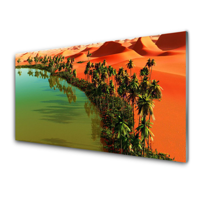 Quadro in vetro Lago di Palm Desert