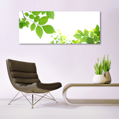 Quadro vetro Petali Pianta Natura