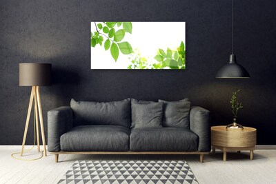 Quadro vetro Petali Pianta Natura