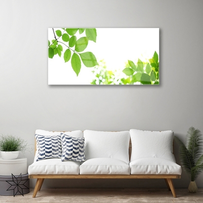 Quadro vetro Petali Pianta Natura