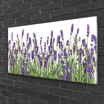 Quadro vetro Fiori Pianta naturale