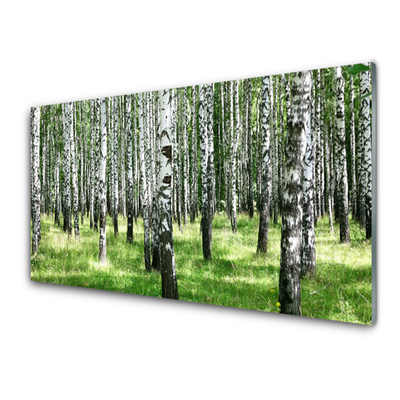 Quadro vetro Foresta Erba Pianta Natura