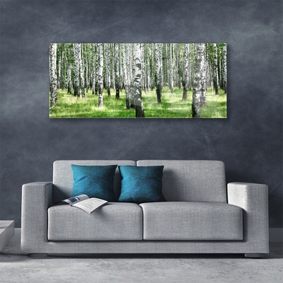 Quadro vetro Foresta Erba Pianta Natura