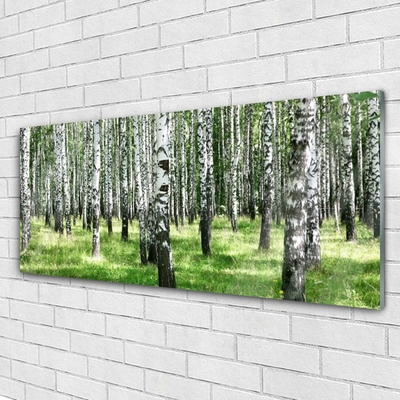 Quadro vetro Foresta Erba Pianta Natura