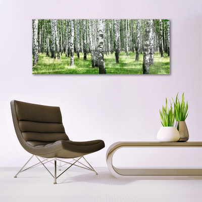 Quadro vetro Foresta Erba Pianta Natura