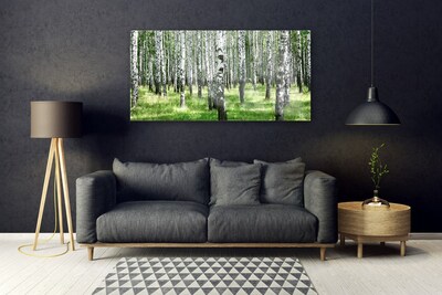 Quadro vetro Foresta Erba Pianta Natura