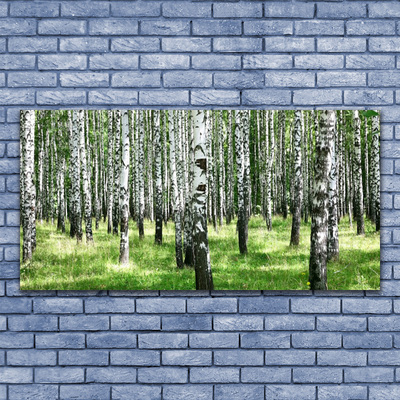 Quadro vetro Foresta Erba Pianta Natura