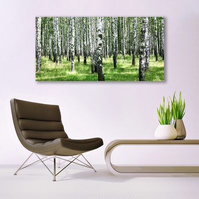 Quadro vetro Foresta Erba Pianta Natura