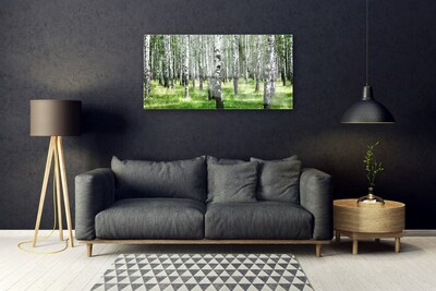 Quadro vetro Foresta Erba Pianta Natura