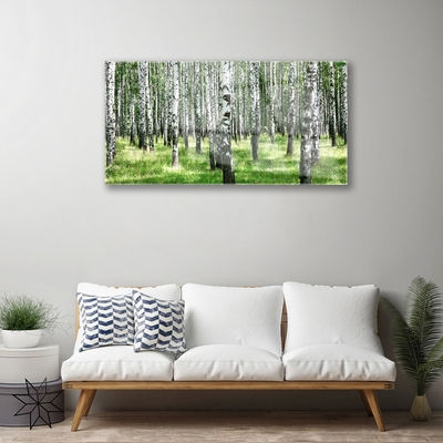 Quadro vetro Foresta Erba Pianta Natura