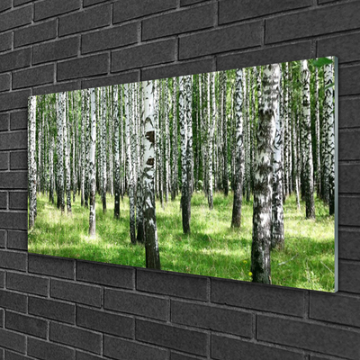 Quadro vetro Foresta Erba Pianta Natura