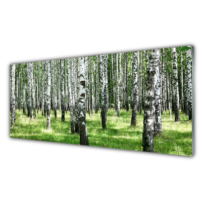 Quadro vetro Foresta Erba Pianta Natura