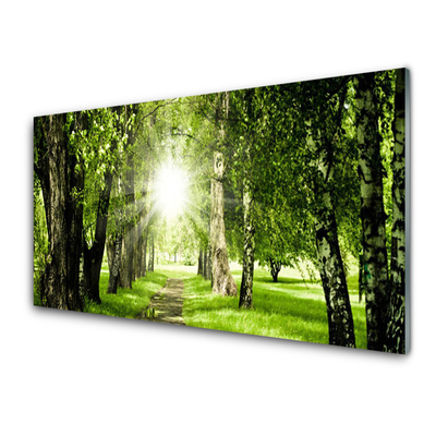 Quadro su vetro Foresta Sentiero del Sole Natura