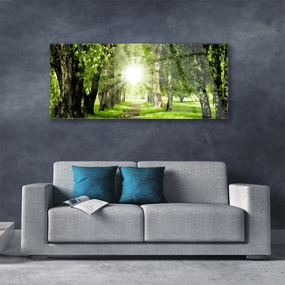 Quadro su vetro Foresta Sentiero del Sole Natura