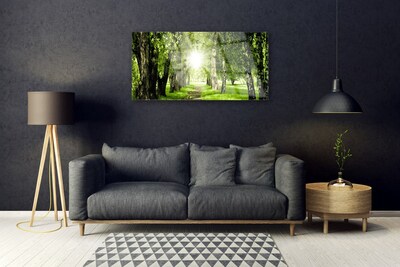 Quadro su vetro Foresta Sentiero del Sole Natura