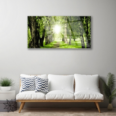 Quadro su vetro Foresta Sentiero del Sole Natura