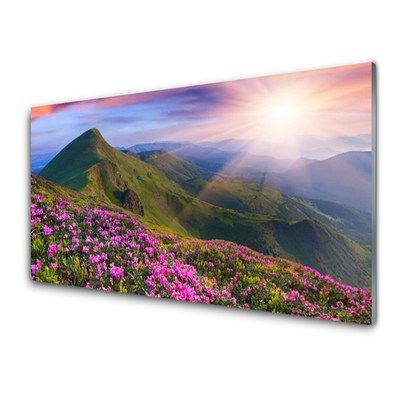 Quadro di vetro Montagne Prato Fiori Paesaggio