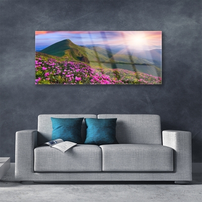 Quadro di vetro Montagne Prato Fiori Paesaggio