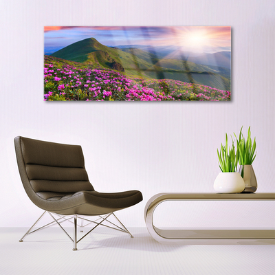 Quadro di vetro Montagne Prato Fiori Paesaggio