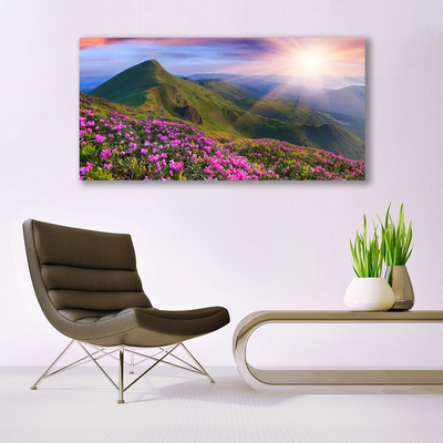 Quadro di vetro Montagne Prato Fiori Paesaggio