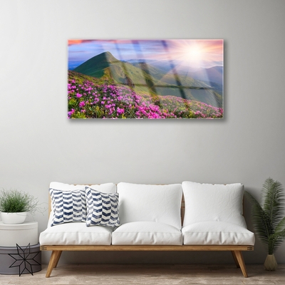 Quadro di vetro Montagne Prato Fiori Paesaggio