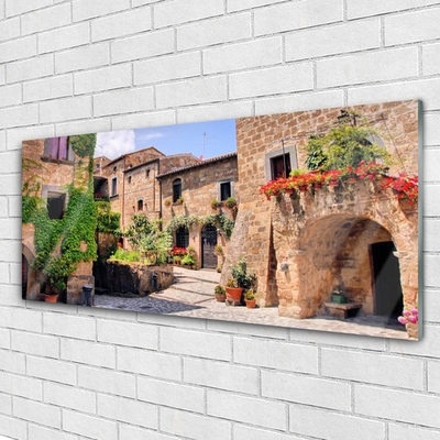 Quadro su vetro Vicolo Fiori Case Pianta