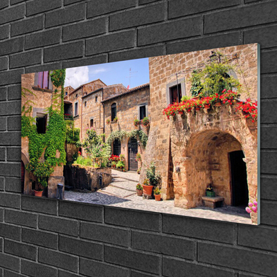 Quadro su vetro Vicolo Fiori Case Pianta