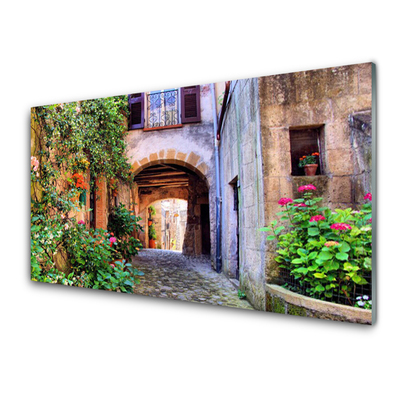 Quadro su vetro Vicolo Fiori Case Pianta