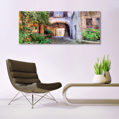 Quadro su vetro Vicolo Fiori Case Pianta