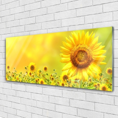 Quadro in vetro Pianta di girasole