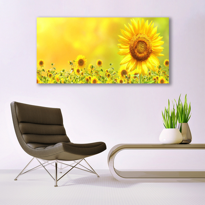 Quadro in vetro Pianta di girasole