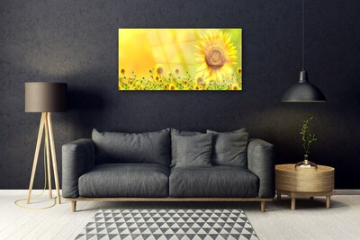 Quadro in vetro Pianta di girasole