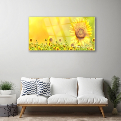 Quadro in vetro Pianta di girasole