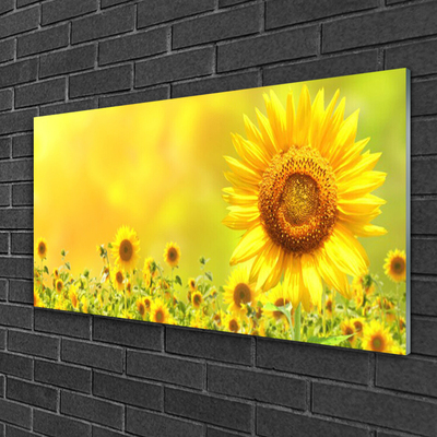 Quadro in vetro Pianta di girasole