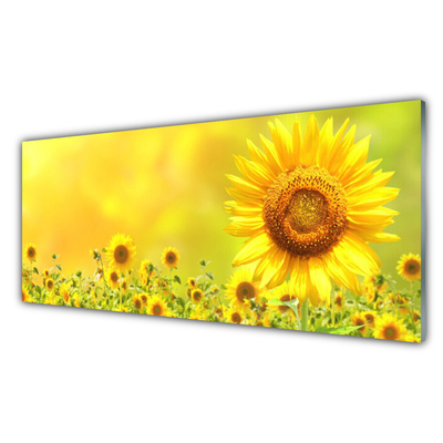 Quadro in vetro Pianta di girasole