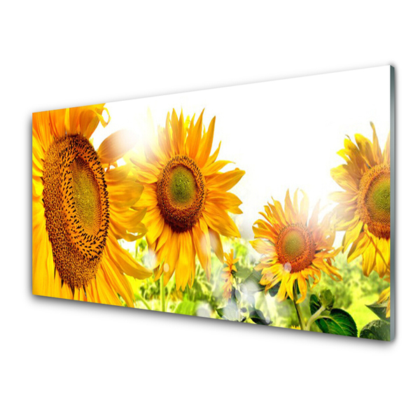 Quadro di vetro Pianta di girasole