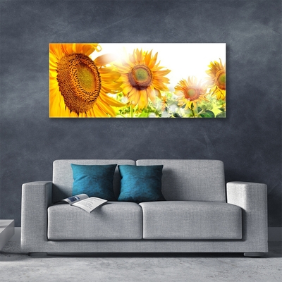 Quadro di vetro Pianta di girasole