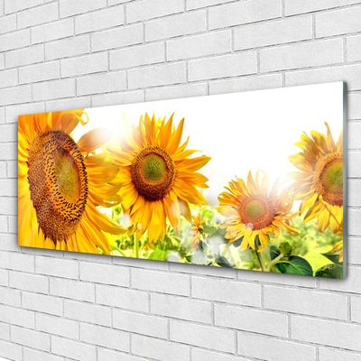 Quadro di vetro Pianta di girasole