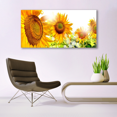 Quadro di vetro Pianta di girasole