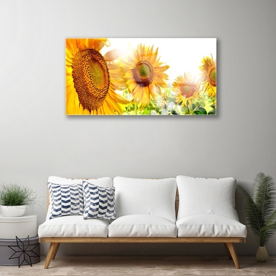 Quadro di vetro Pianta di girasole