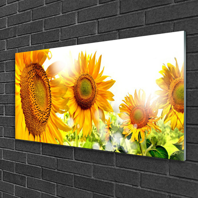 Quadro di vetro Pianta di girasole