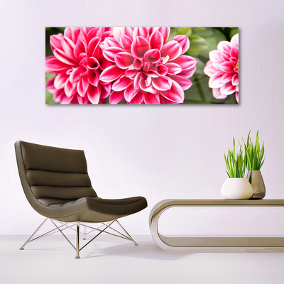 Quadro in vetro Fiori Pianta naturale