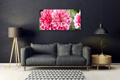 Quadro in vetro Fiori Pianta naturale