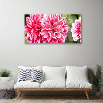 Quadro in vetro Fiori Pianta naturale