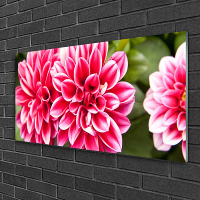 Quadro in vetro Fiori Pianta naturale